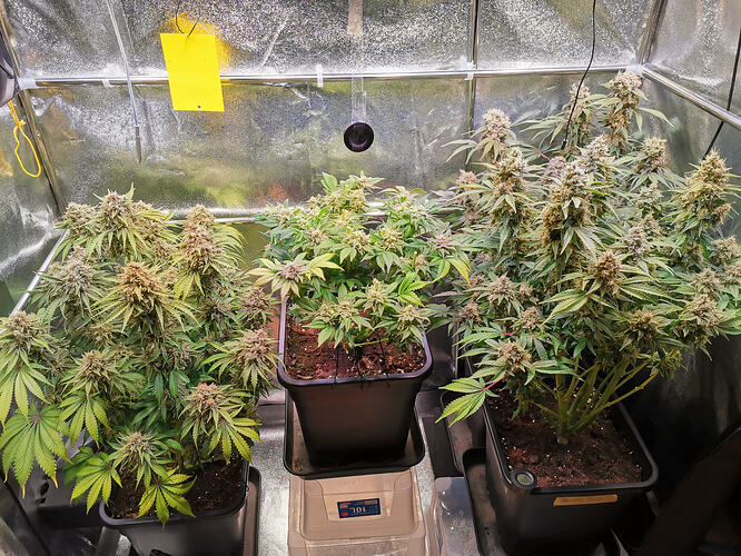 Growreport Bild 3