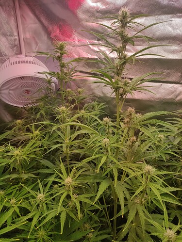 Growreport Bild 14