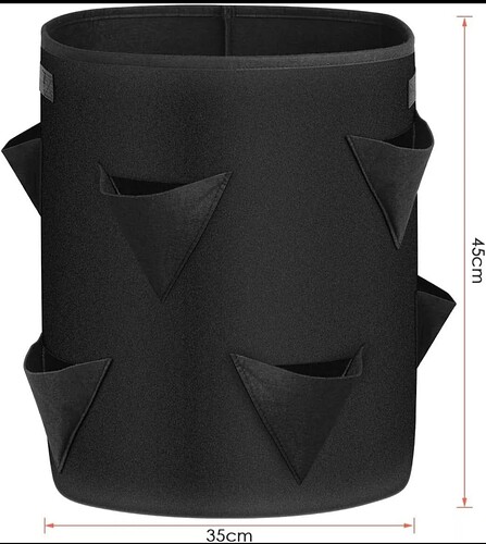 Screenshot_20241003_155155_eBay