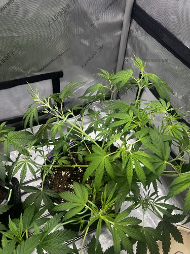 Growreport Bild 2