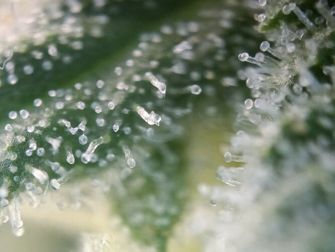 Growreport Bild 15