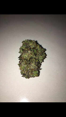 Growreport Bild 1