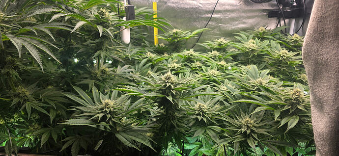 Growreport Bild 22