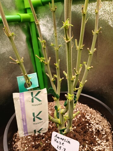 Growreport Bild 11