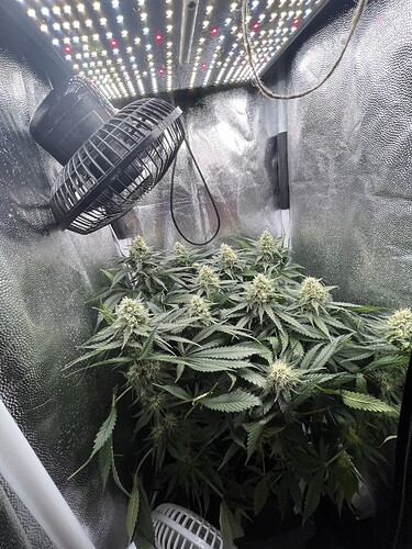 Growreport Bild 2