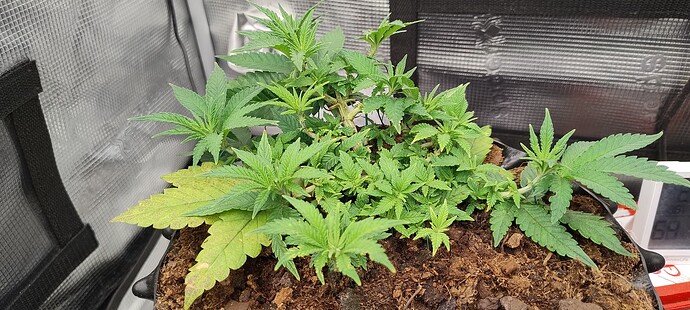 IMG_20251002_091901237