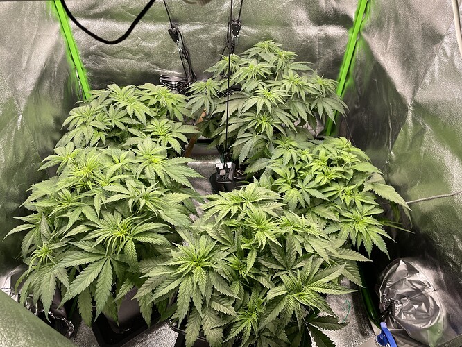 Growreport Bild 2