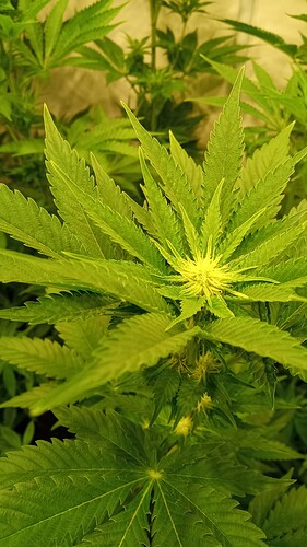 Growreport Bild 16