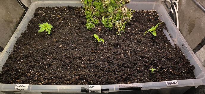 Growreport Bild 14