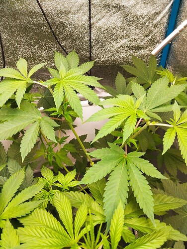 Growreport Bild 9
