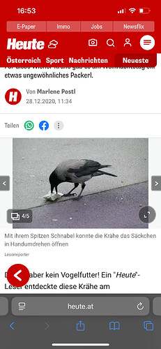 Growreport Bild 19