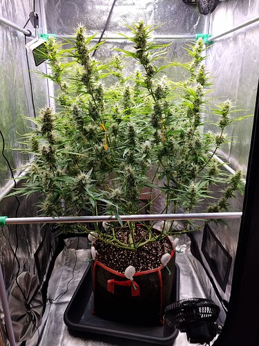 Growreport Bild 9