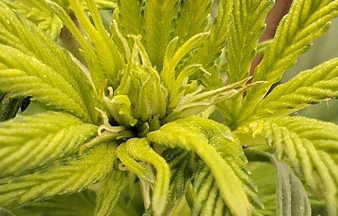 Growreport Bild 28
