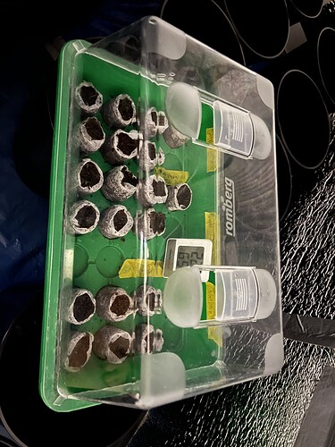 Growreport Bild 3