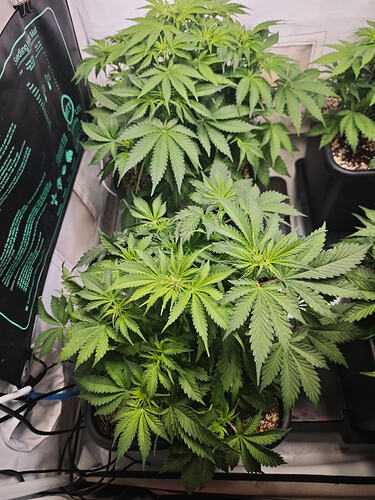 Growreport Bild 14