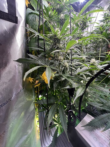 Growreport Bild 3