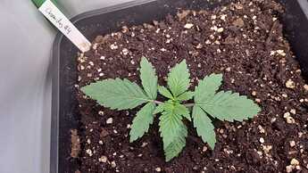 WhatsApp Image 2024-05-07 at 16.06.27 (2)