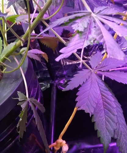 Growreport Bild 5