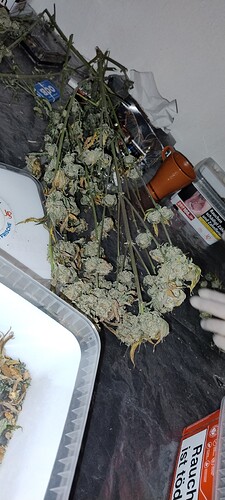 Growreport Bild 10