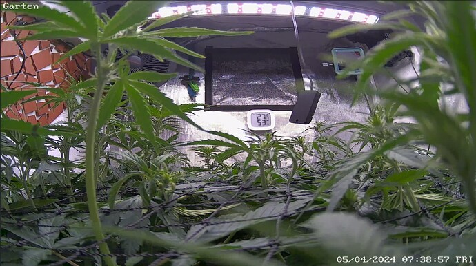 Growreport Bild 14