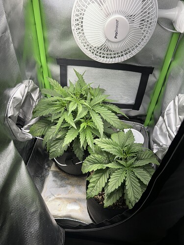 Growreport Bild 5