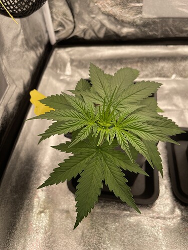 Growreport Bild 7