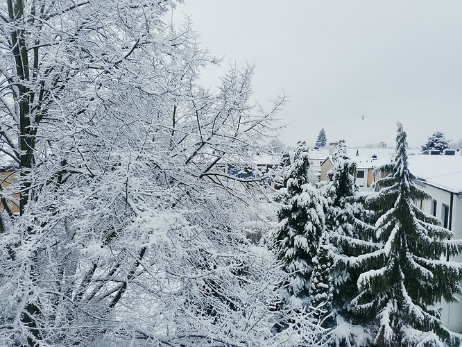 Growreport Bild 6