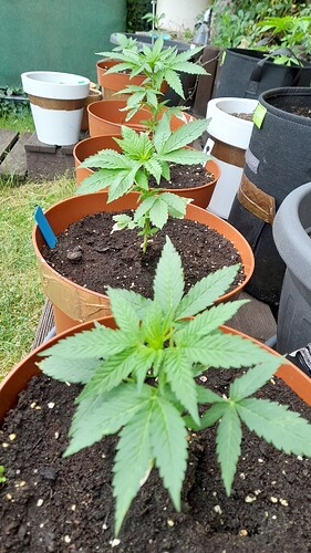 Growreport Bild 10