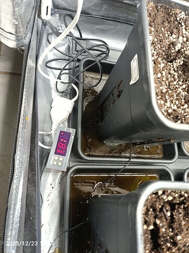 Growreport Bild 1