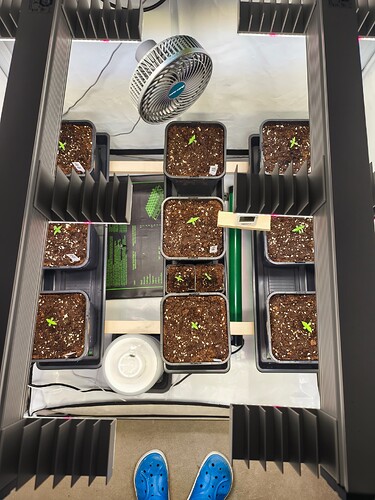 Growreport Bild 15