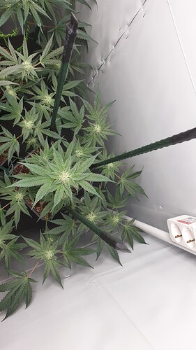 Growreport Bild 10