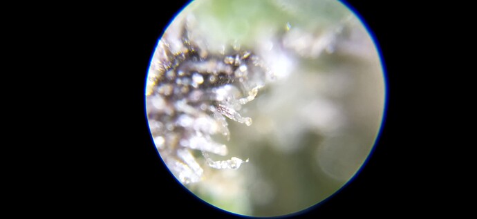 Growreport Bild 19