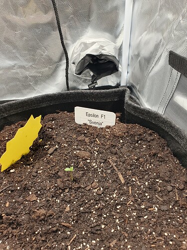 Growreport Bild 4