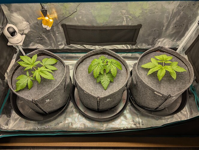 Growreport Bild 16