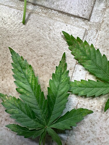 Growreport Bild 17