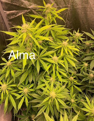 Growreport Bild 1
