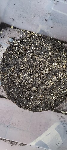 Growreport Bild 3