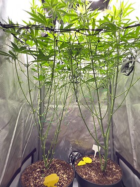 Growreport Bild 8