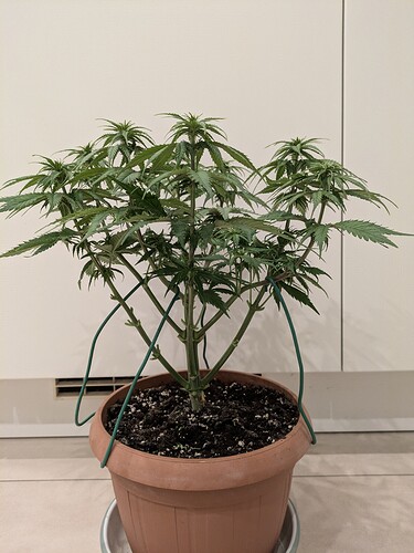 Growreport Bild 8