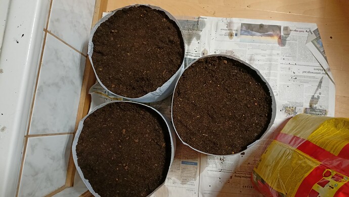 Growreport Bild 12