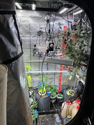 Growreport Bild 3