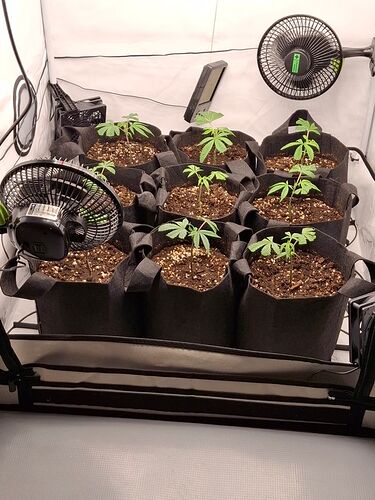 Growreport Bild 12