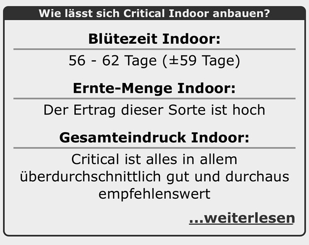 Growreport Bild 22