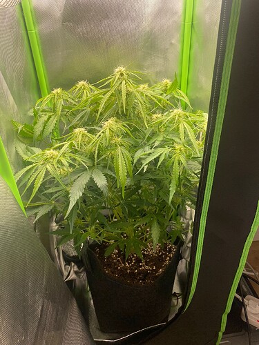 WhatsApp Bild 2024-05-06 um 19.12.50_17d9f669