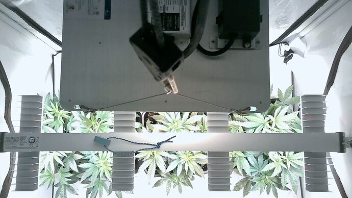 Growreport Bild 5