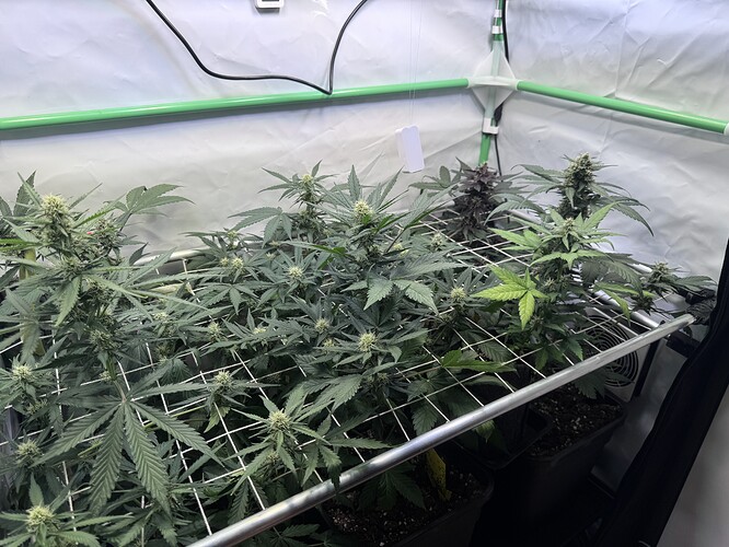 Growreport Bild 8