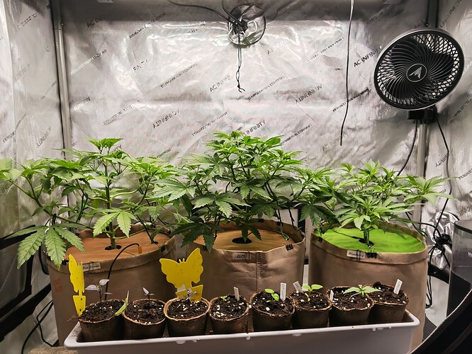 Growreport Bild 28