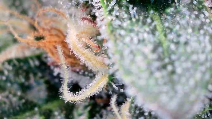 Growreport Bild 21