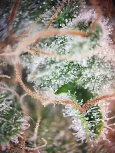 Growreport Bild 18