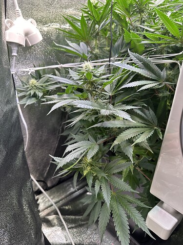 Growreport Bild 31